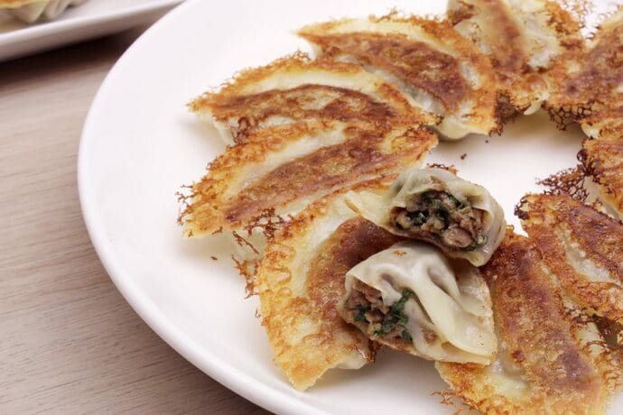 Plant-based gyoza made with impossible burger meat