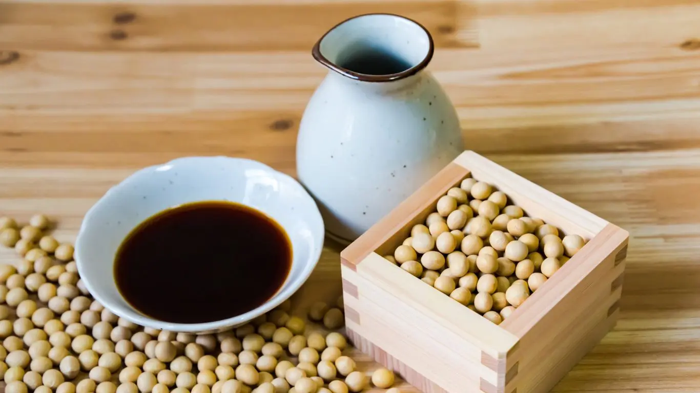 Soybeans and Soy sauce